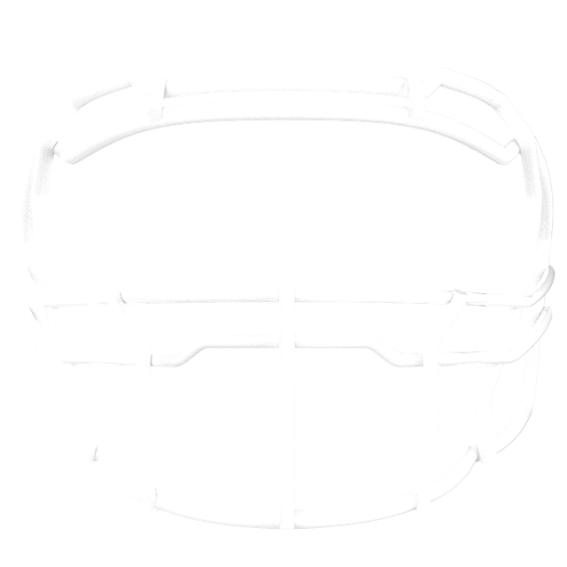 Bundled Facemask - Stainless Steel